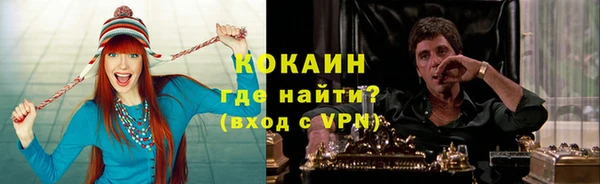 2c-b Инсар