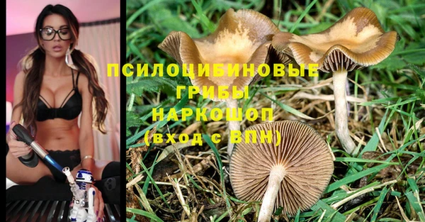 спиды Аркадак