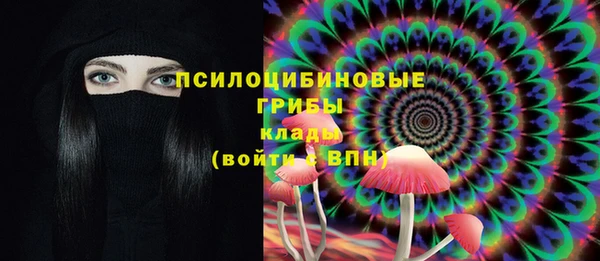 Альфа ПВП Баксан