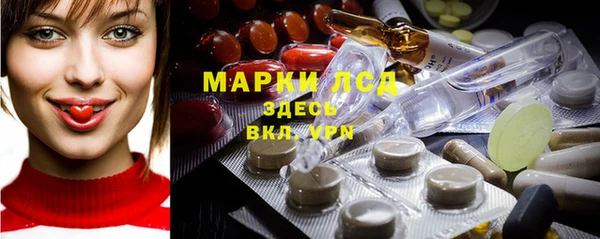 спиды Аркадак