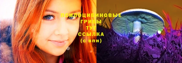 Альфа ПВП Баксан