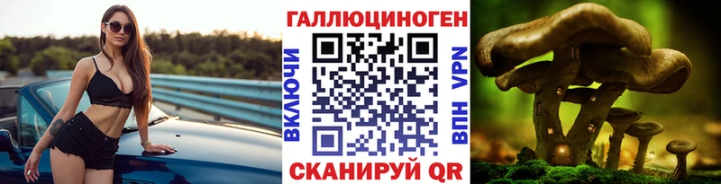 купить наркоту  Нарьян-Мар  кракен онион  Галлюциногенные грибы GOLDEN TEACHER 